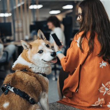 Memory Squared office